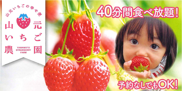 山元いちご農園